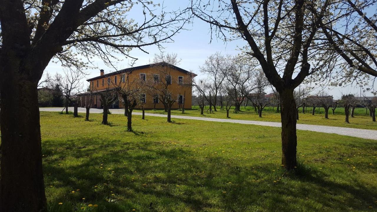 Agriturismo Borgo Borromeo Villa Rubano Exterior photo